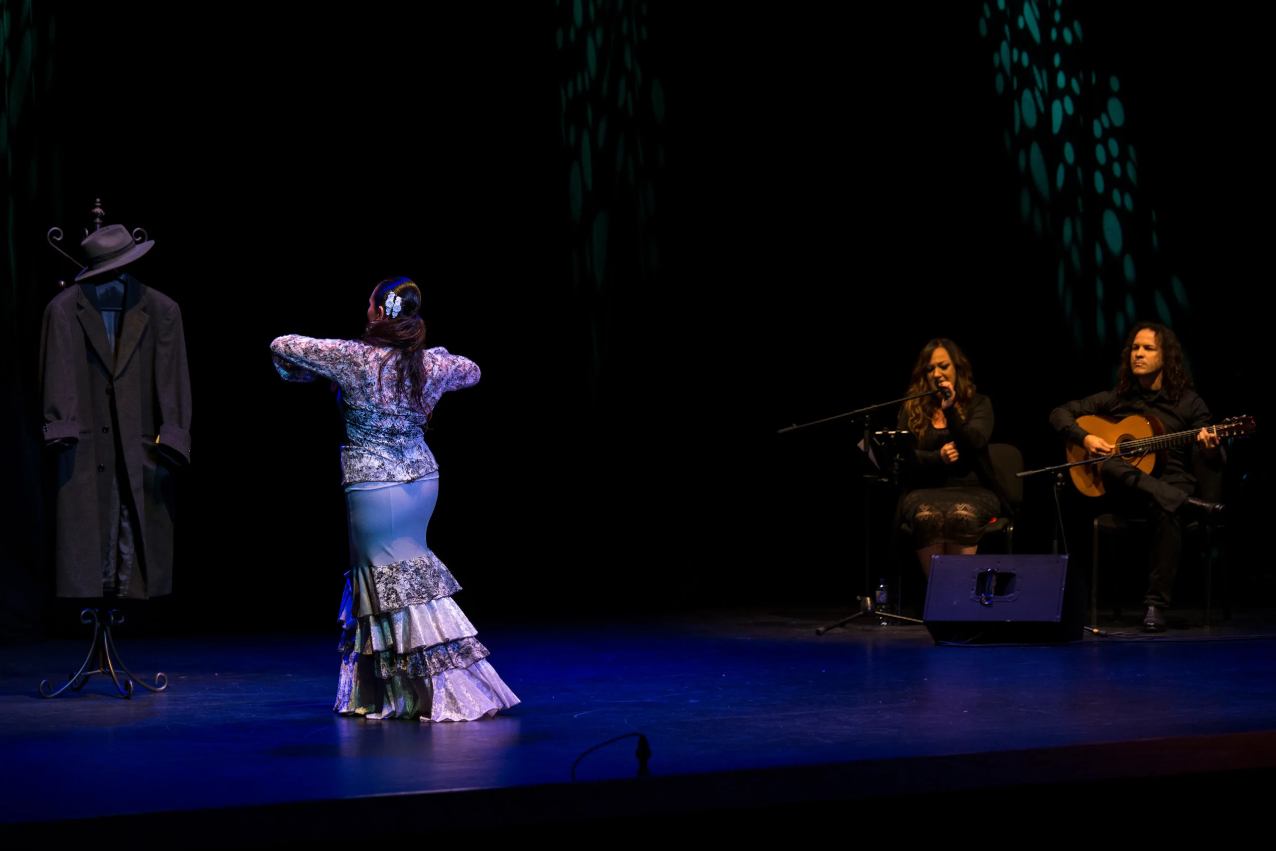 Bailaora flamenca con sombra dramática