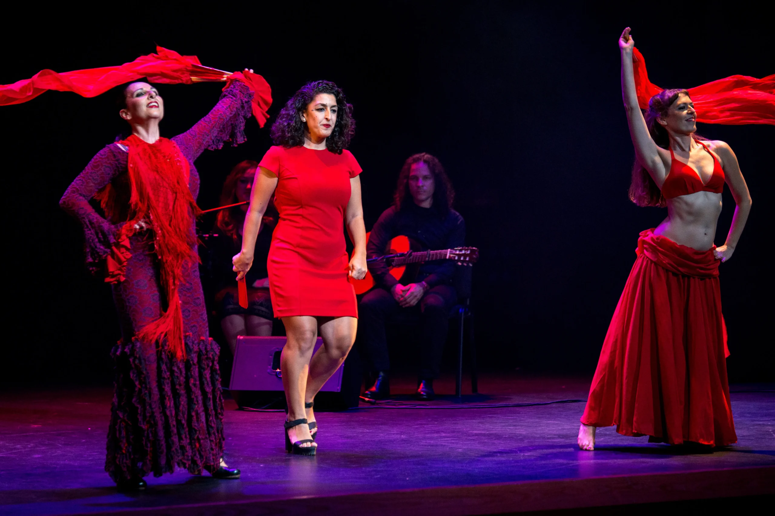 Bailarina flamenca con sombra dramática