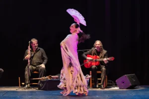 Bailaora en pose flamenca con abanico